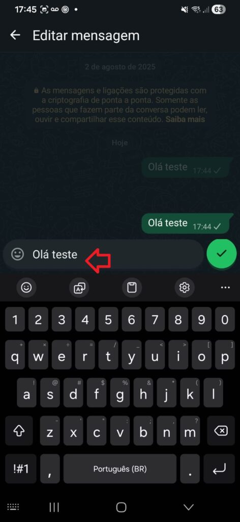 Captura de tela da interface de edição, com uma seta vermelha apontando para o campo de texto onde a mensagem pode ser corrigida antes de ser reenviada.
